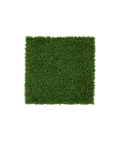 Bermudagrass