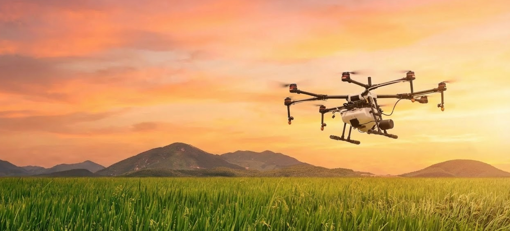 Dron agrícola sobrevolando un campo de cultivo al atardecer