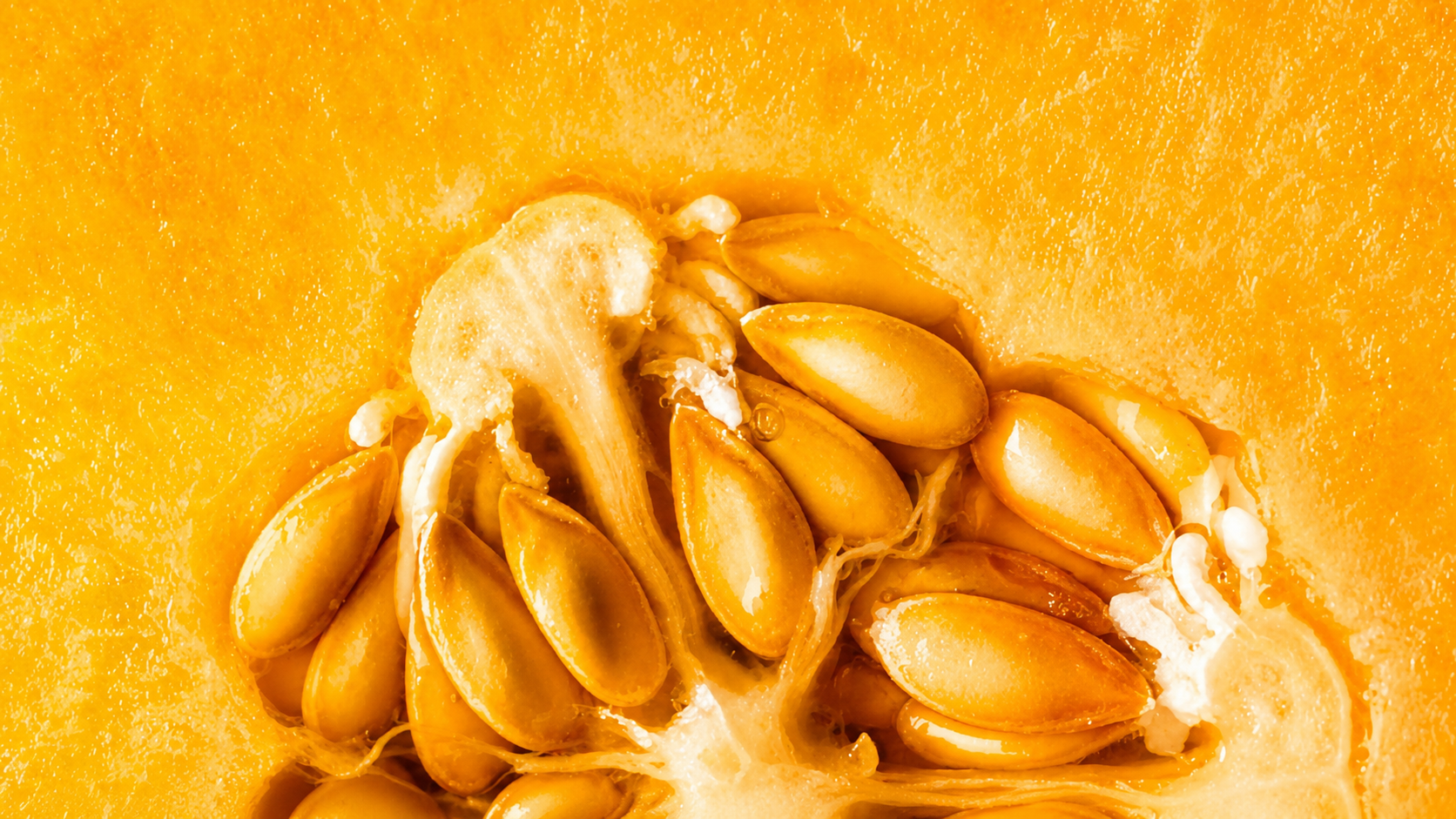 Primer plano macro de semillas de hortícolas sobre pulpa naranja