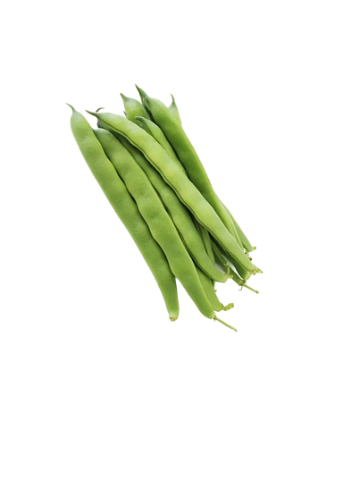 Leguminosas