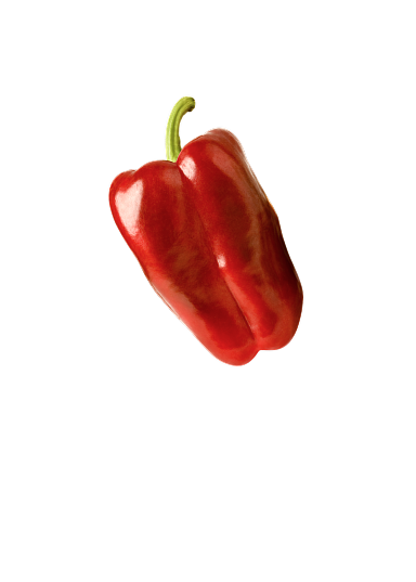 Pimiento