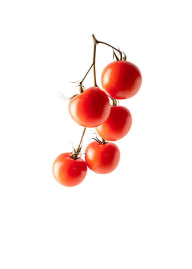 Tomate